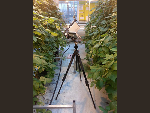 P10 infrared thermography