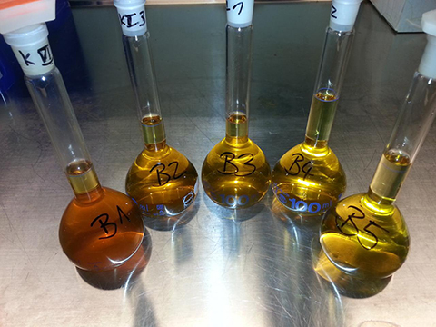 Extractions from leaves for determination of sugar alcohols with HPAEC-PAD, P10