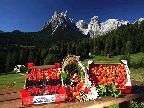 Fruits © Ph. M. Simonini 0131