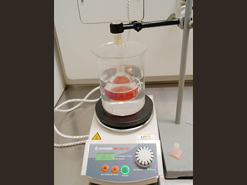 Extraction of raspberry fruits in water