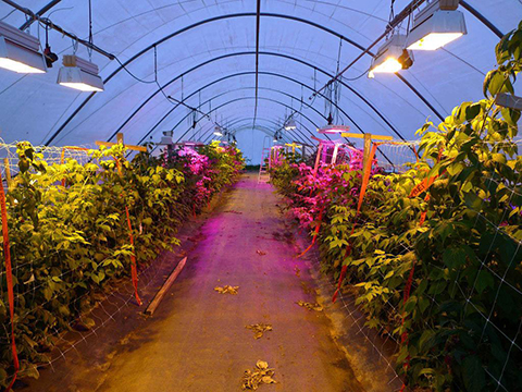 Task 2.1 LED2011 008